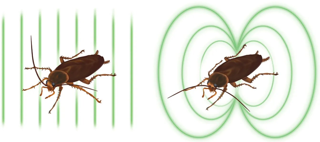 Attrape Mouche Papier Tue Mouche l'intérieur à l'extérieur Utilisez Les  Mouches, Les moustiques et Autres Insectes Volants(40 Roule