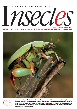 Insectes n° 159