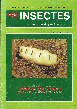 Insectes n° 82