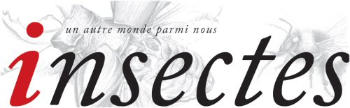 le titre de la revue Insectes