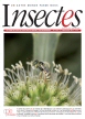 Insectes n 185