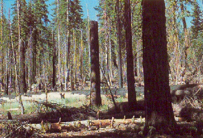Yosemite